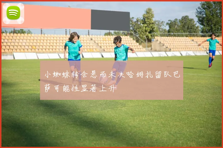 小蜘蛛转会悬而未决哈姆扎留队巴萨可能性显著上升