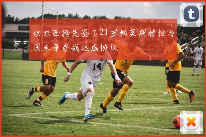 切尔西抢先签下21岁帕莱斯特拉与国米争夺战达成协议