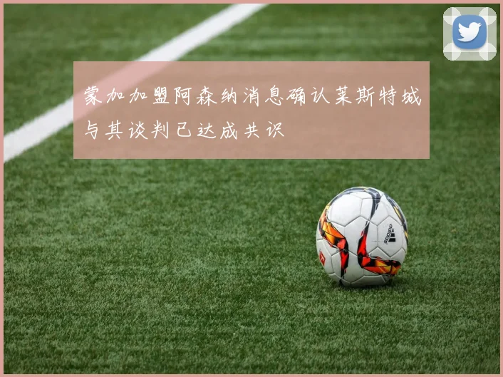 蒙加加盟阿森纳消息确认莱斯特城与其谈判已达成共识